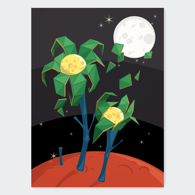 planta espacial vuelo 213