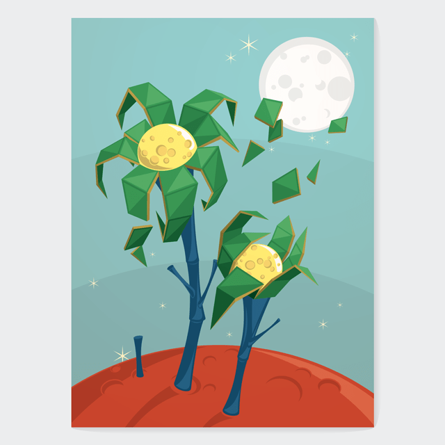 planta espacial vuelo 213