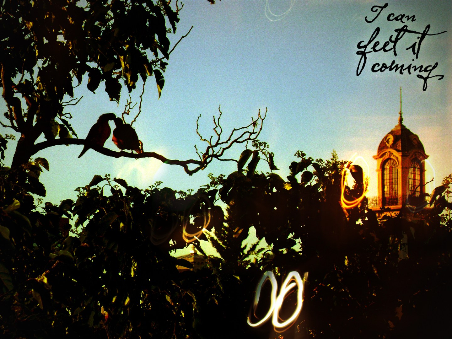 cdelu, concepcion del uruguay, santa fe, arte, luces, arte digital, rayos