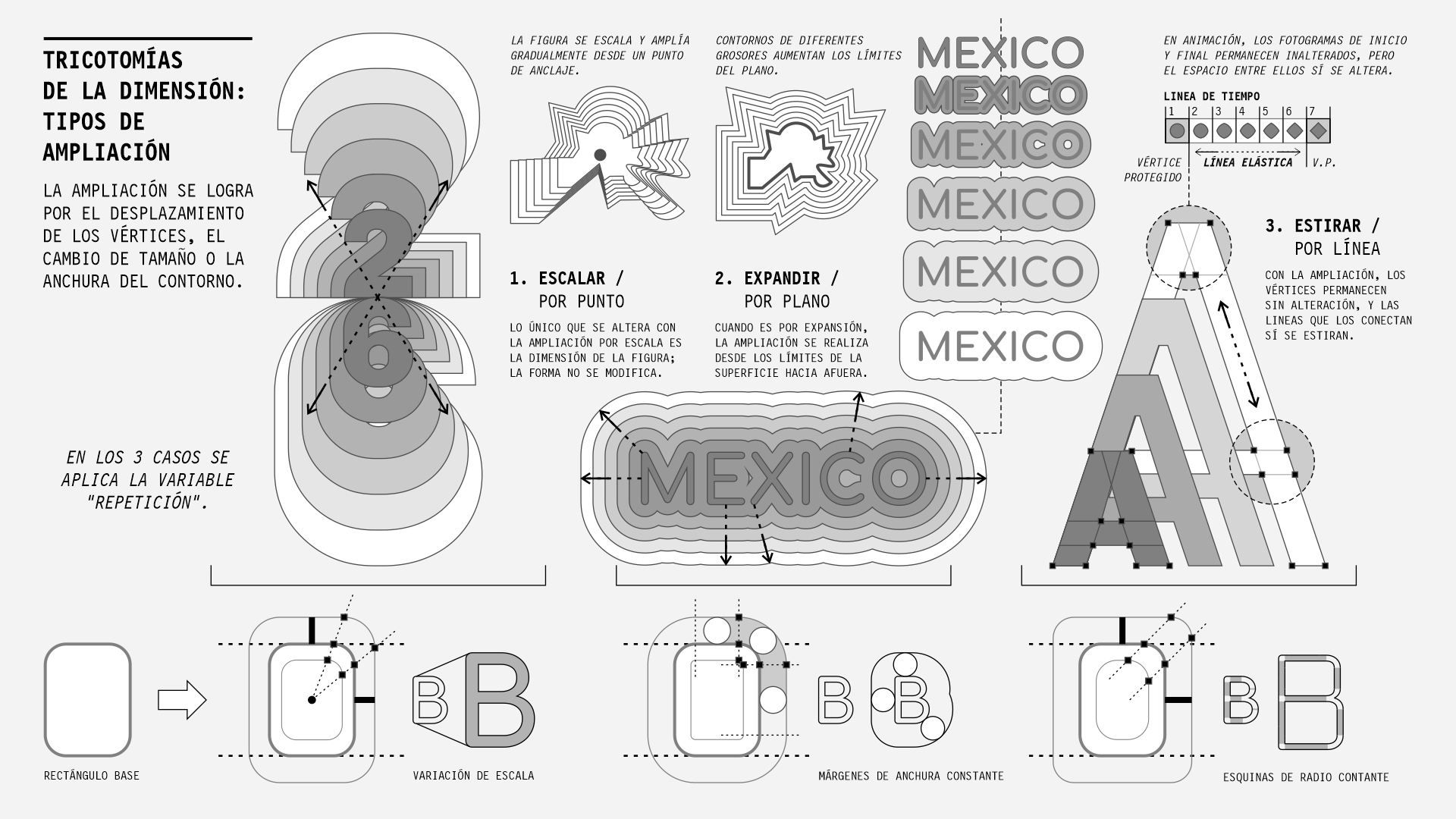 tipos de ampliacion, gif, diseño, morfologia